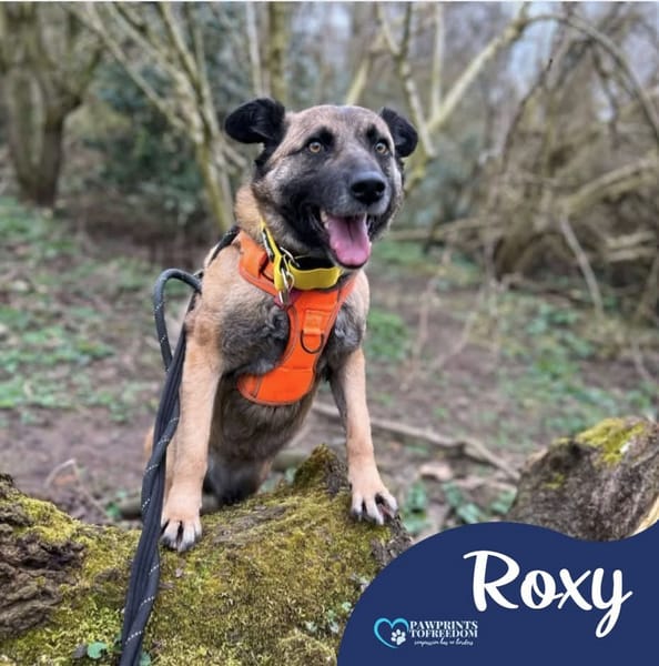 Roxy