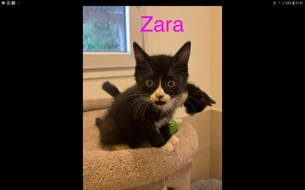 Zara