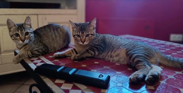 ASTRO ET AVANA