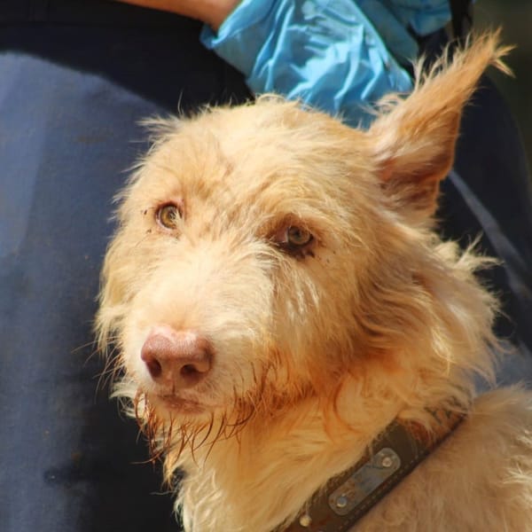 FLORENCIO (FBM)