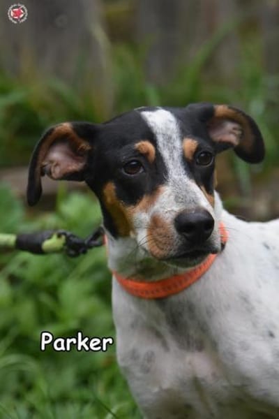 PARKER