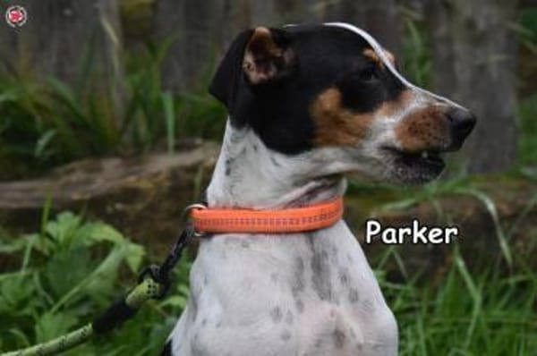 PARKER