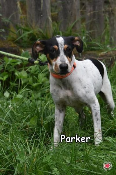 PARKER