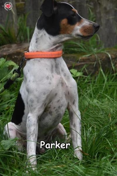 PARKER