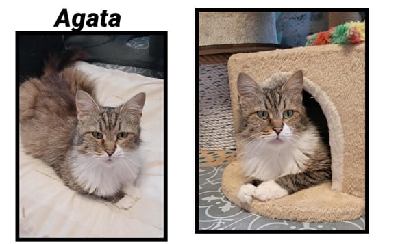 AGATA (Réservée)