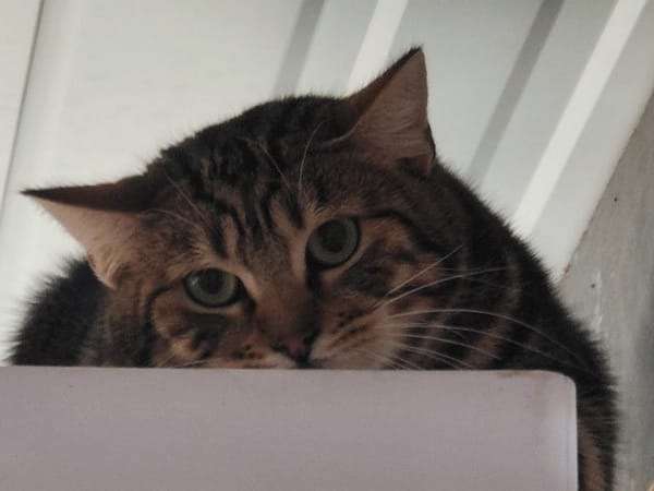 CHARLES