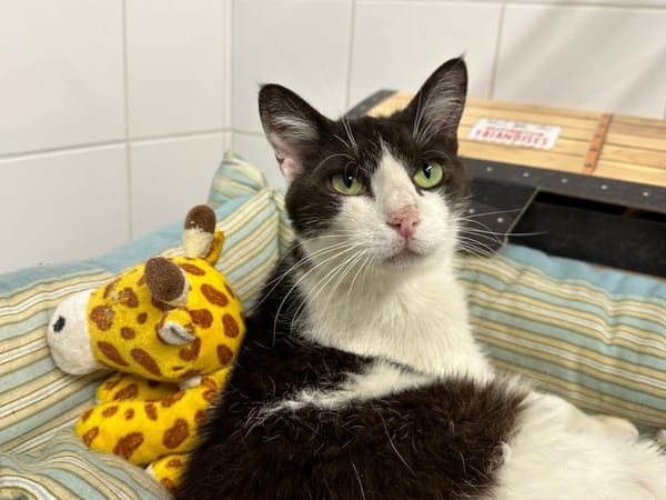OLIVER en SOS URGENT