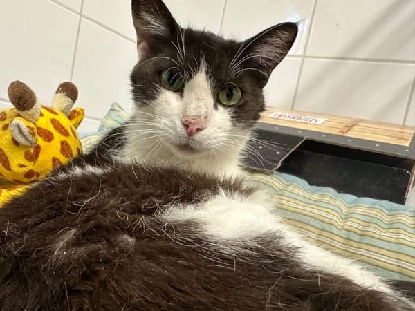 OLIVER en SOS URGENT