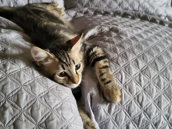 MARLEY
