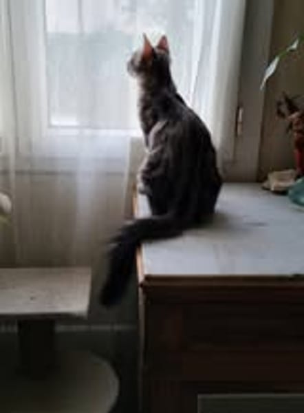 MARLEY