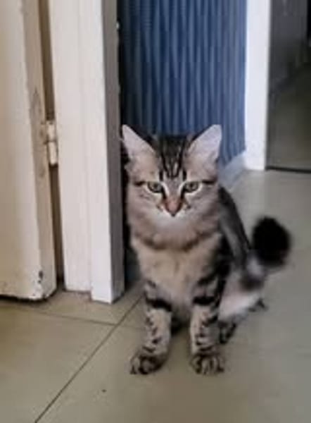 MARLEY