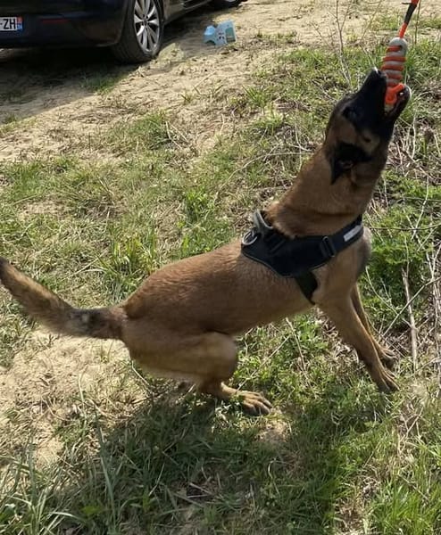NARCO