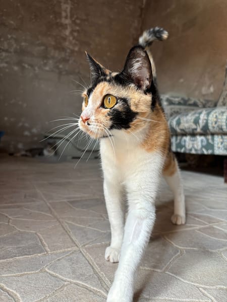 Lena