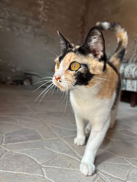 Lena