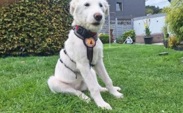 Smilla wartet auf ihre Familie
