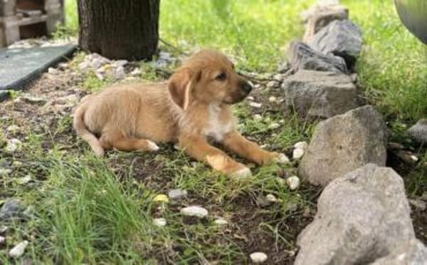 Athena sucht Dich!