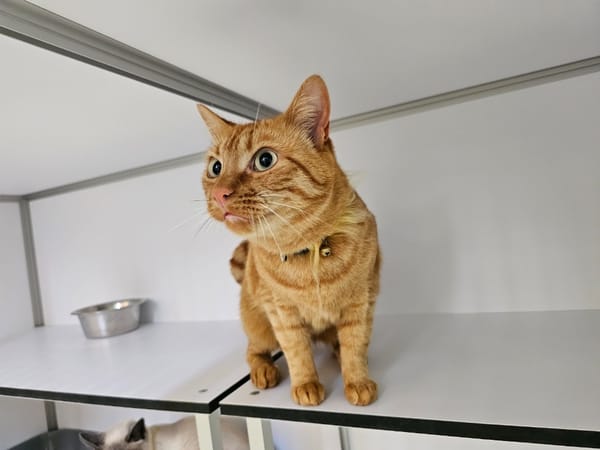Max