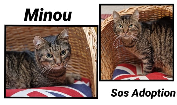 MINOU