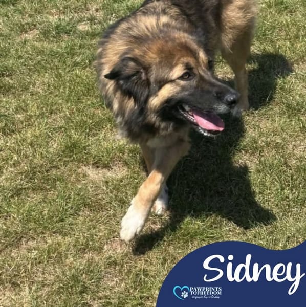 Sidney
