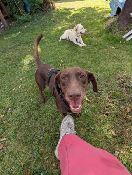 Mina💜💜💜 Für-immer-Zuhause gesucht
