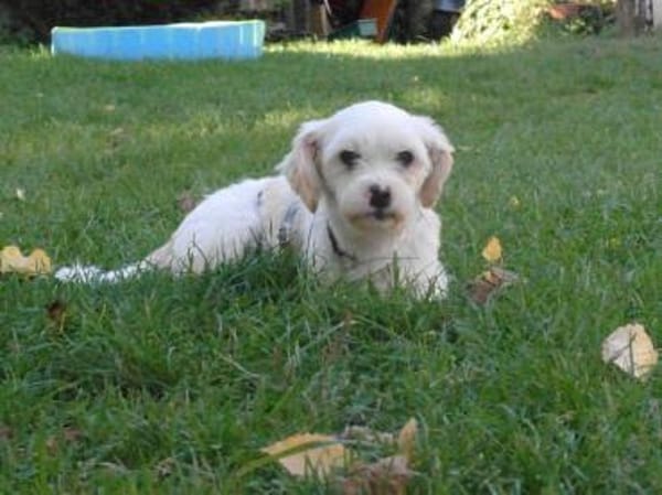 BUBIKO sucht liebes Zuhause