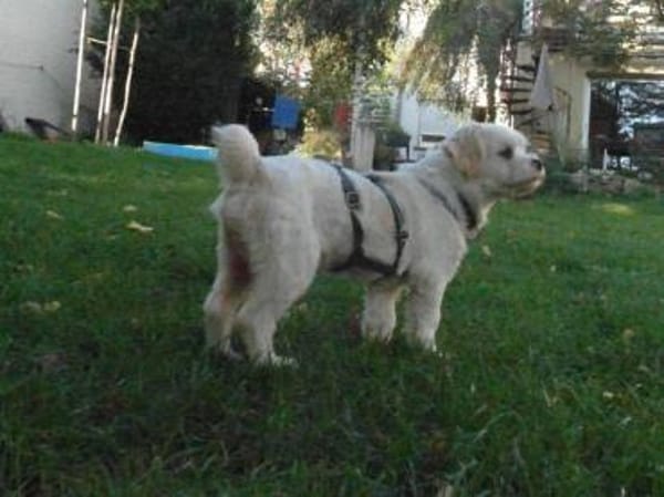 BUBIKO sucht liebes Zuhause