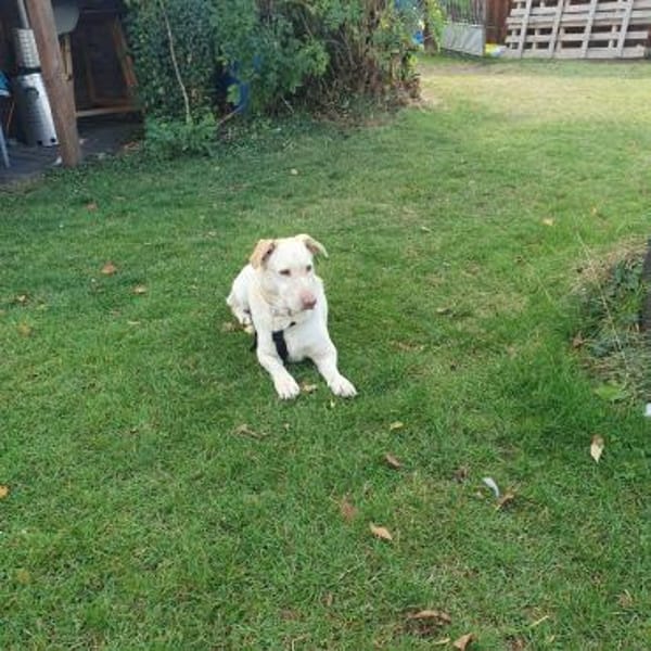 Lilly 🧡🧡🧡schönes Plätzchen gesucht