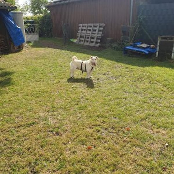 Lilly 🧡🧡🧡schönes Plätzchen gesucht