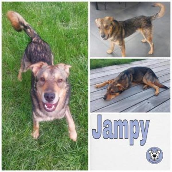Jampy * und ab ins Herz seiner Menschen