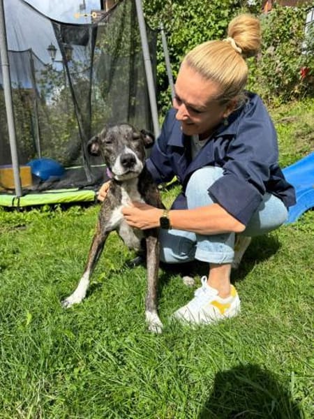 Zuhause gesucht!🙏💕