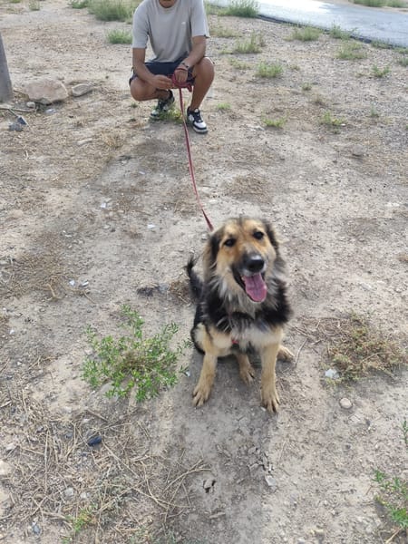 LUFY  (Patas Jumila)