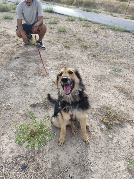LUFY  (Patas Jumila)