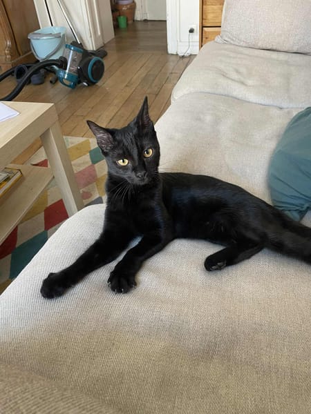 Luna