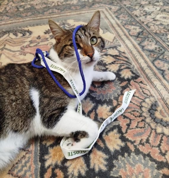 Léo
