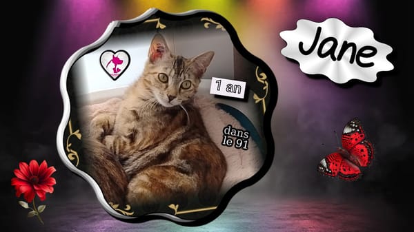 Jane