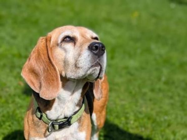 Paula, muntere Seniorin sucht Dich ❤