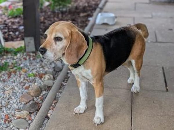 Paula, muntere Seniorin sucht Dich ❤
