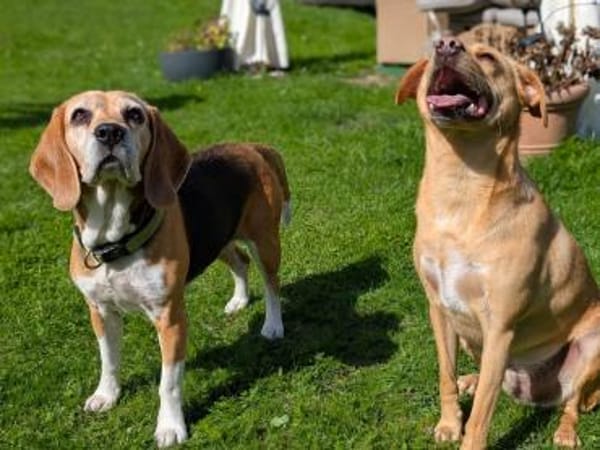 Paula, muntere Seniorin sucht Dich ❤