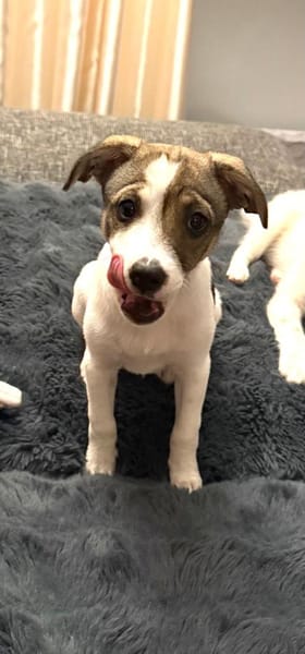 Aira ein tolles liebes Mädchen