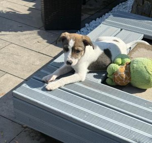 Aira ein tolles liebes Mädchen