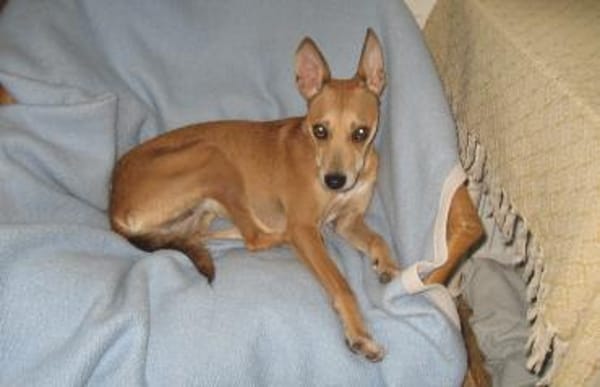 Sol6 sucht ein Zuhause