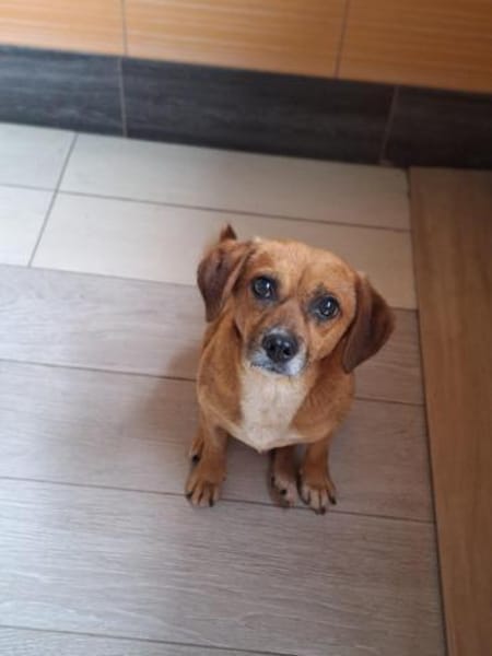 Ottosucht seine Menschen 🐾