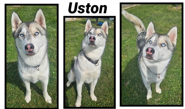USTON