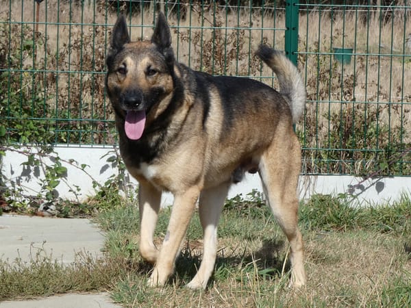 BOUBA