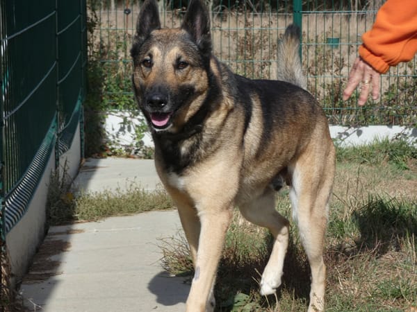 BOUBA