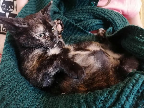 KALI