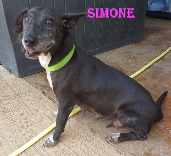Simone