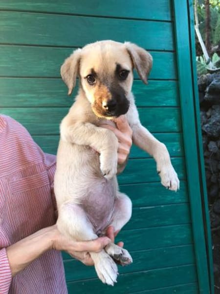 Carmen 💛💛💛 offen neugierig verspielt