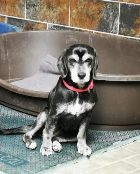 Dita, super brave Seniorin