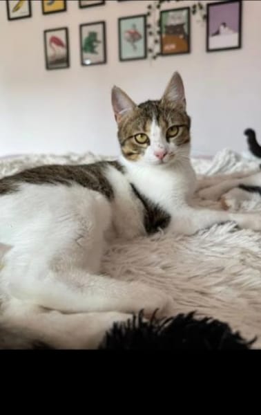 Lexi Quasselstrippe sucht ihre Familie